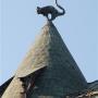 Met een kat op het dak