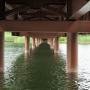 Schuilen onder een brug tegen de regen